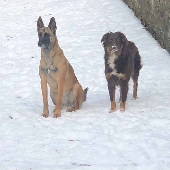 💕LIVE!💕 Like to be notified when I go live! 💕 - Picture 3 of 4